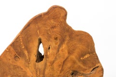 Giant Teak Burl Sculpture on Stand