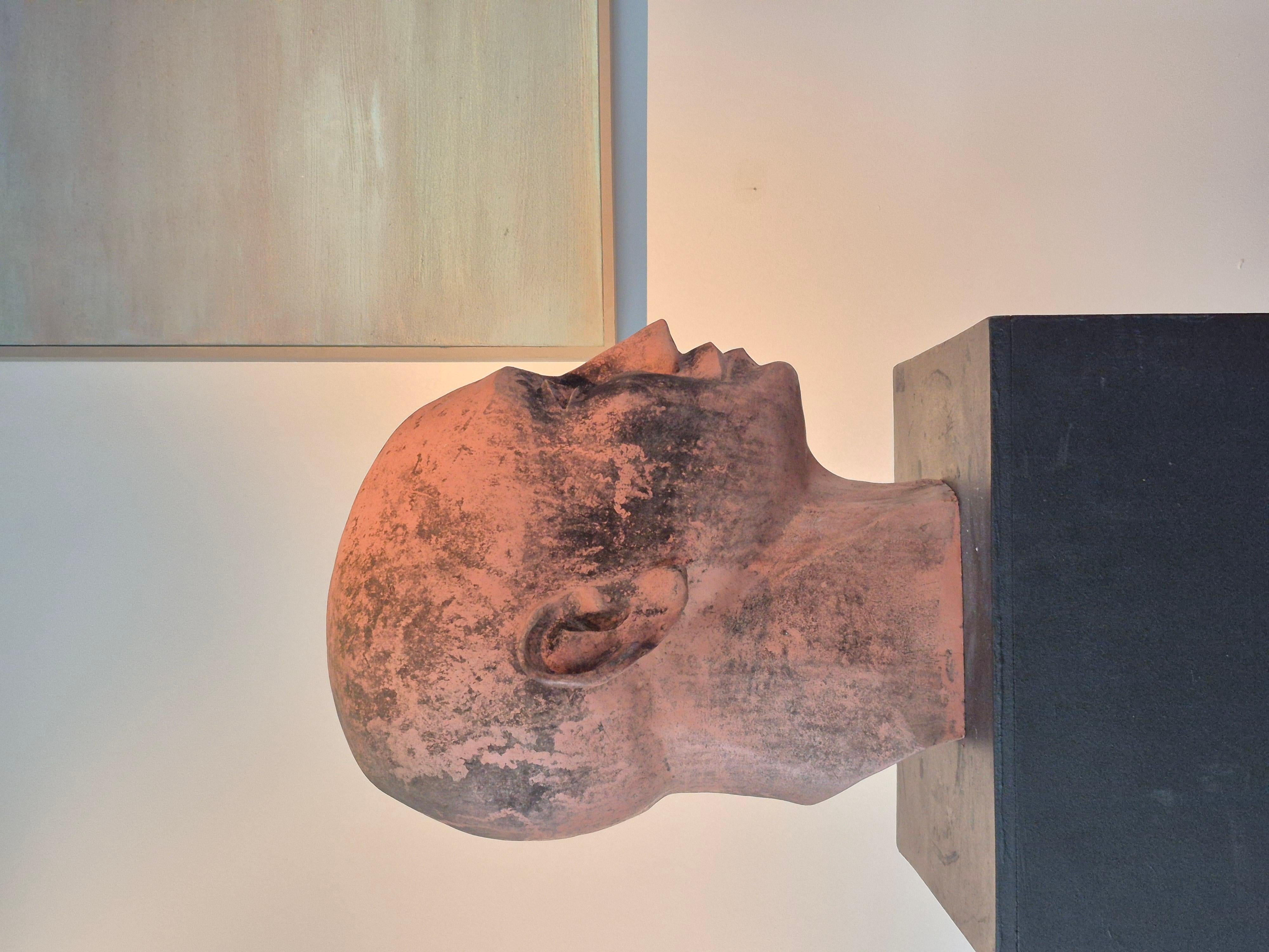 Scultura di testa gigante in terracotta in vendita 5