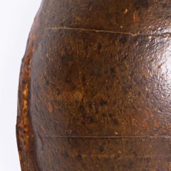 Giant Turtle Shell or Carapace