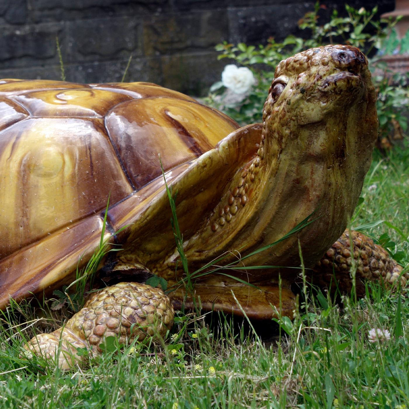 Italian Giant Turtoise Sculpture