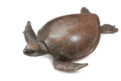 Giant Victorian Taxidermy Loggerhead Sea Turtle