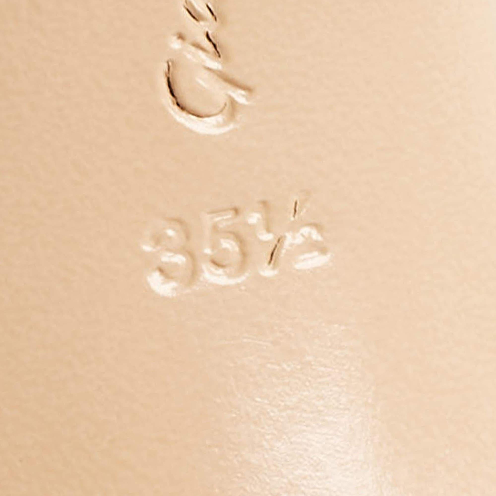 Gianvito Rossi - Escarpins en plexiglas et daim beige, taille 35,5 en vente 3