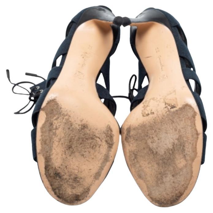 Complétez votre look avec ces sandales en toile bleue Roxy de Gianvito Rossi. Elles présentent un design en cage avec des lacets, des orteils ouverts et des talons de 11 cm formant une forme étonnante.