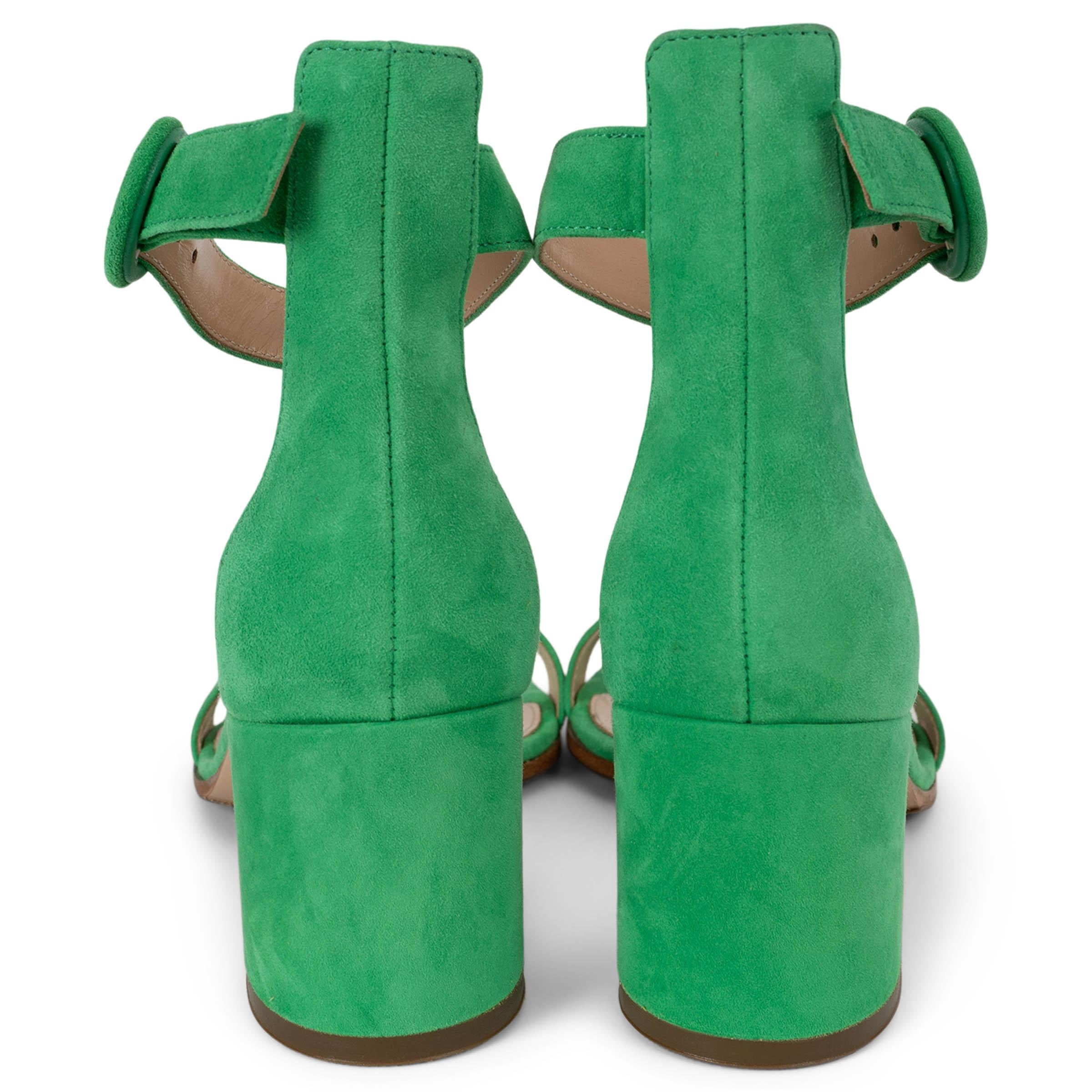 GIANVITO ROSSI green suede 2023 VERSILIA 60 Sandals Shoes 38.5 In condizioni Nuovo in vendita a Zürich, CH