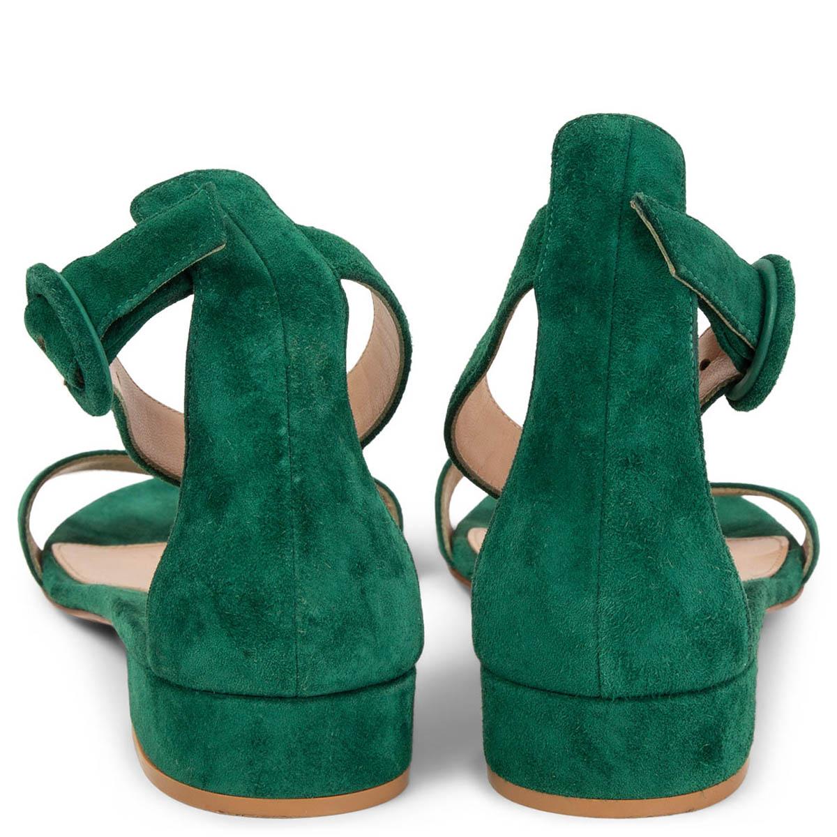Green GIANVITO ROSSI green suede VERSILIA 60 Sandals Shoes 38
