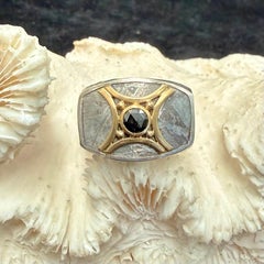 Gibeon Meteorite Black Diamond 18K Gold/ Sterling Ring