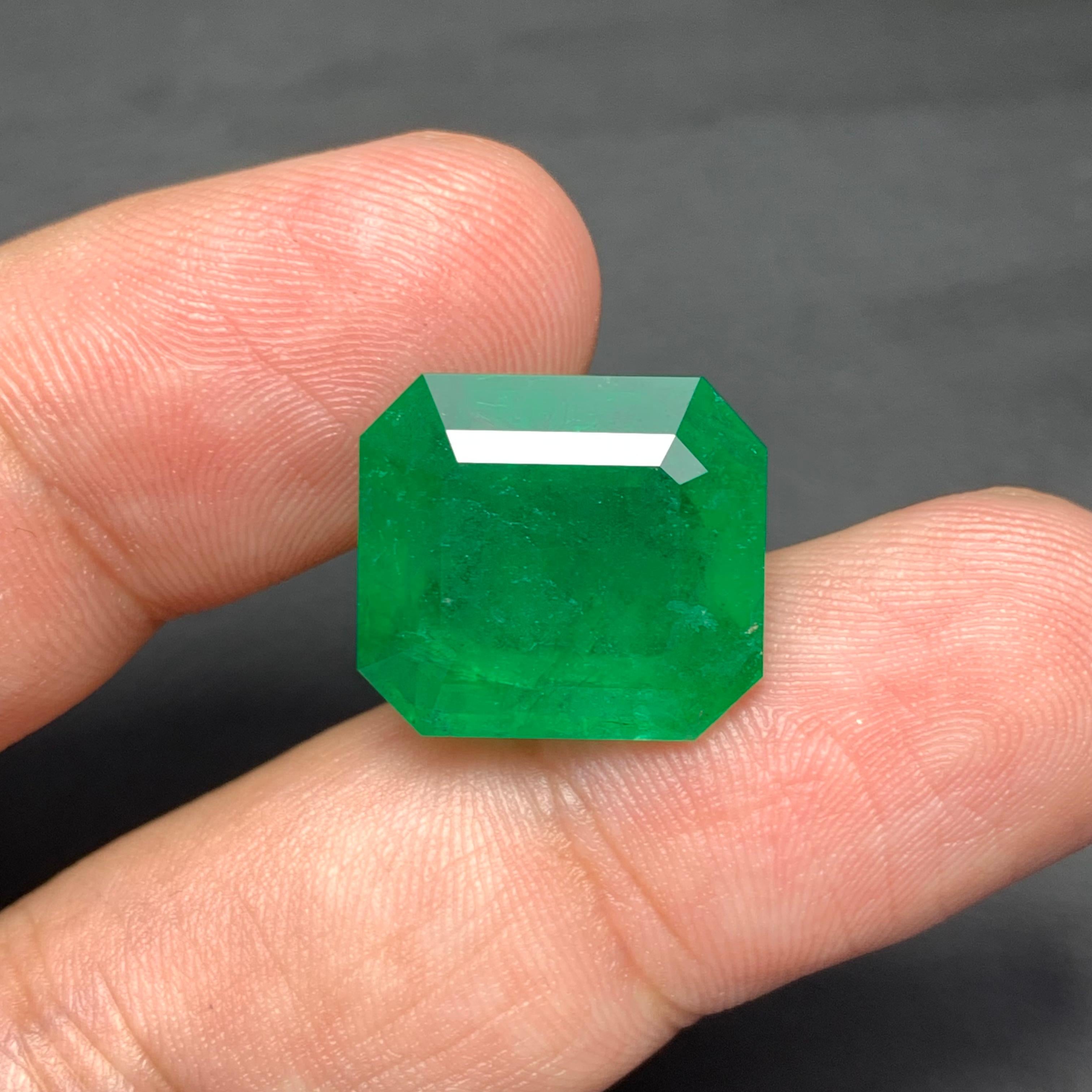Gigantische 14,70 Karat Natürliche Erde Mine Lose Grüner Smaragd Edelstein Sambia Mine im Zustand „Neu“ im Angebot in Peshawar, PK