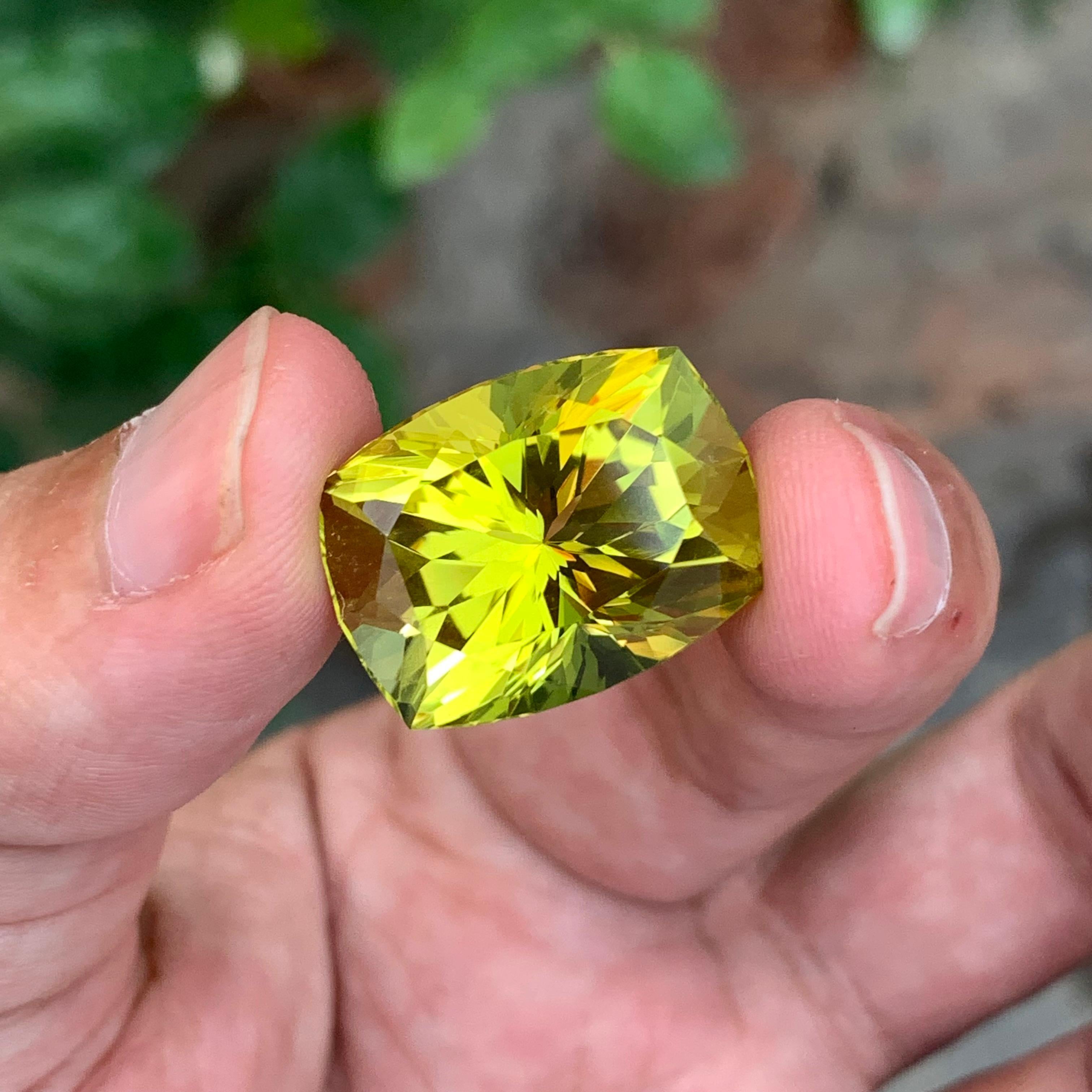 Quarzo limone sfaccettato

Peso: 27,85 carati
Dimensioni: 21x16x14,5 Mm
Origine: Brasile
Colore: giallo 
Certificato: Su richiesta del cliente

Ogni Jewell di OHLIGUER è realizzato su misura e richiede dalle tre alle sei settimane di produzione.
