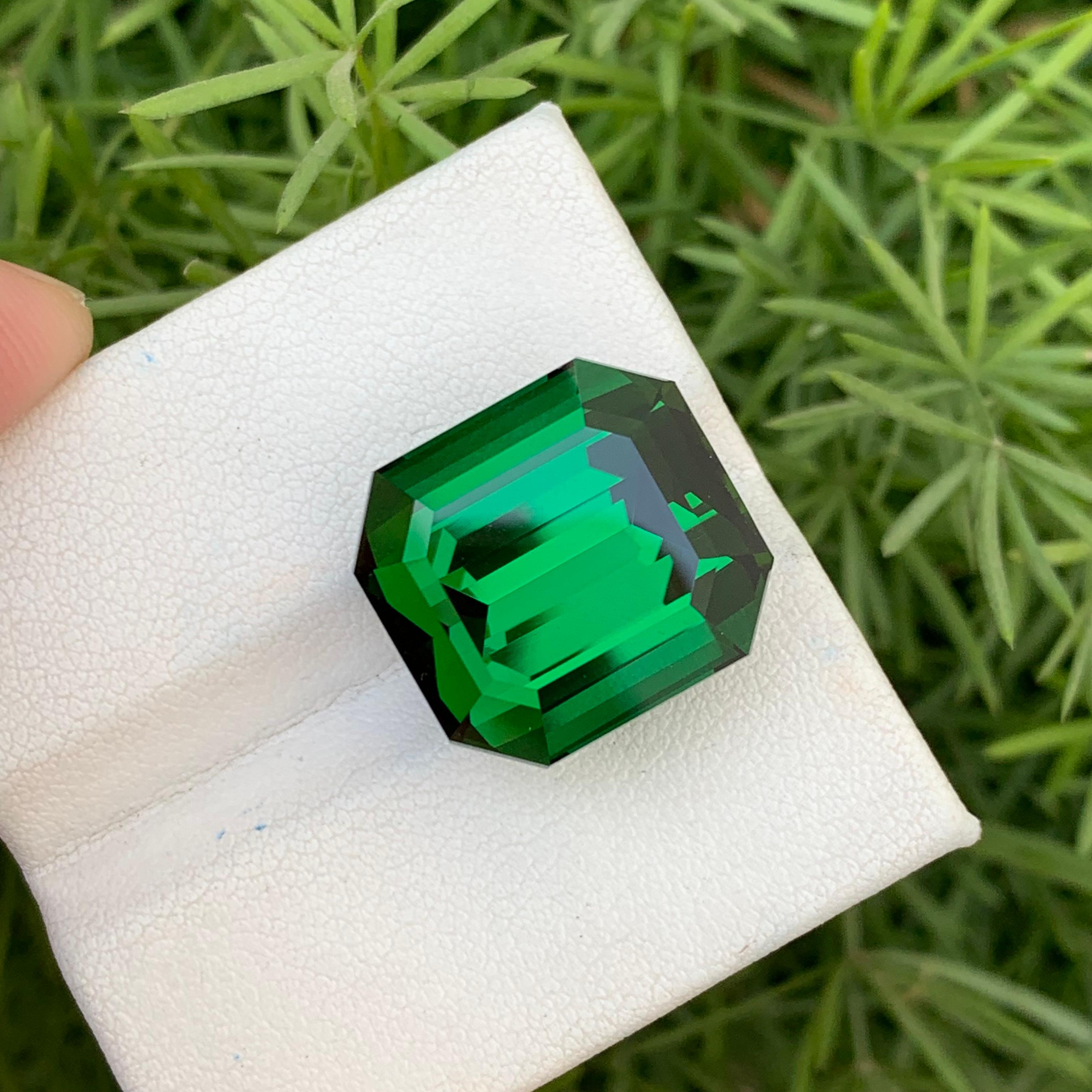 Gigantesca tormalina verde sfusa da 29,70 carati di qualità AAA Miniera dell'Afghanistan in vendita 3