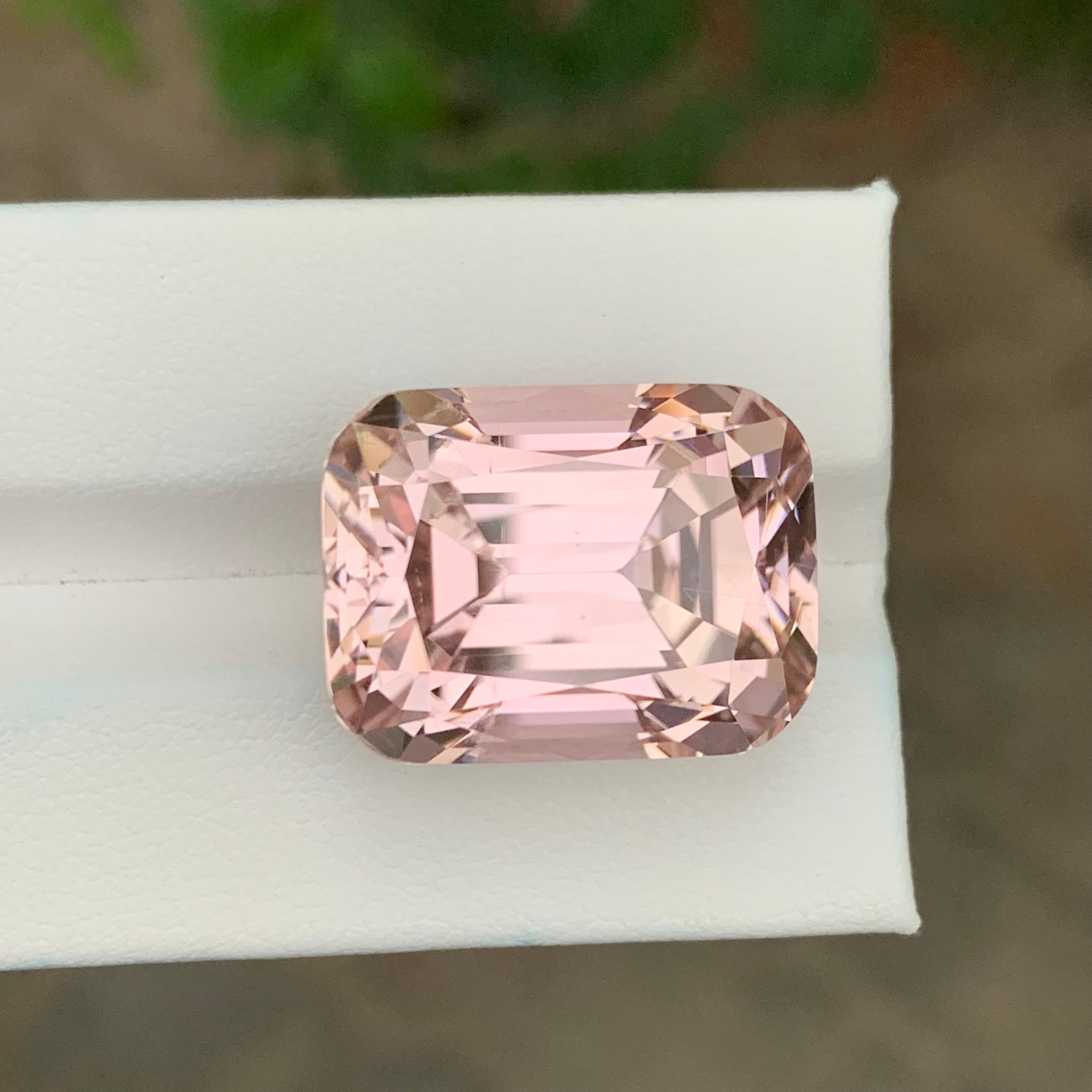 Gigantesque Kunzite de 44,40 carats en forme de coussin en vente 5
