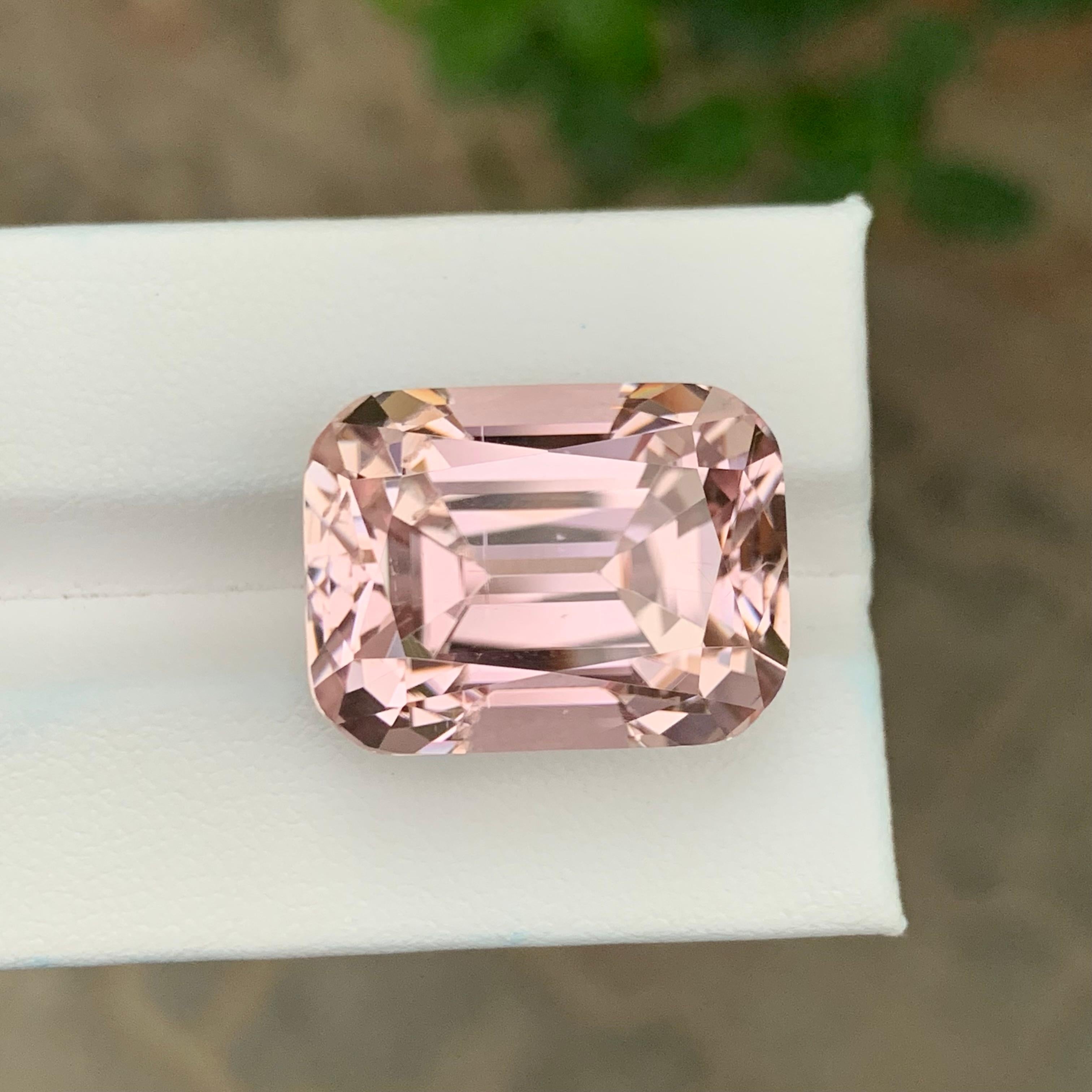 Gigantesque Kunzite de 44,40 carats en forme de coussin en vente 3