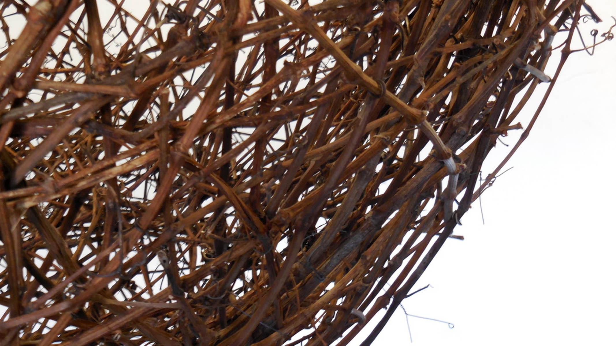 Organic Material Gigantic Grapevine Bird's Nest Sculpture