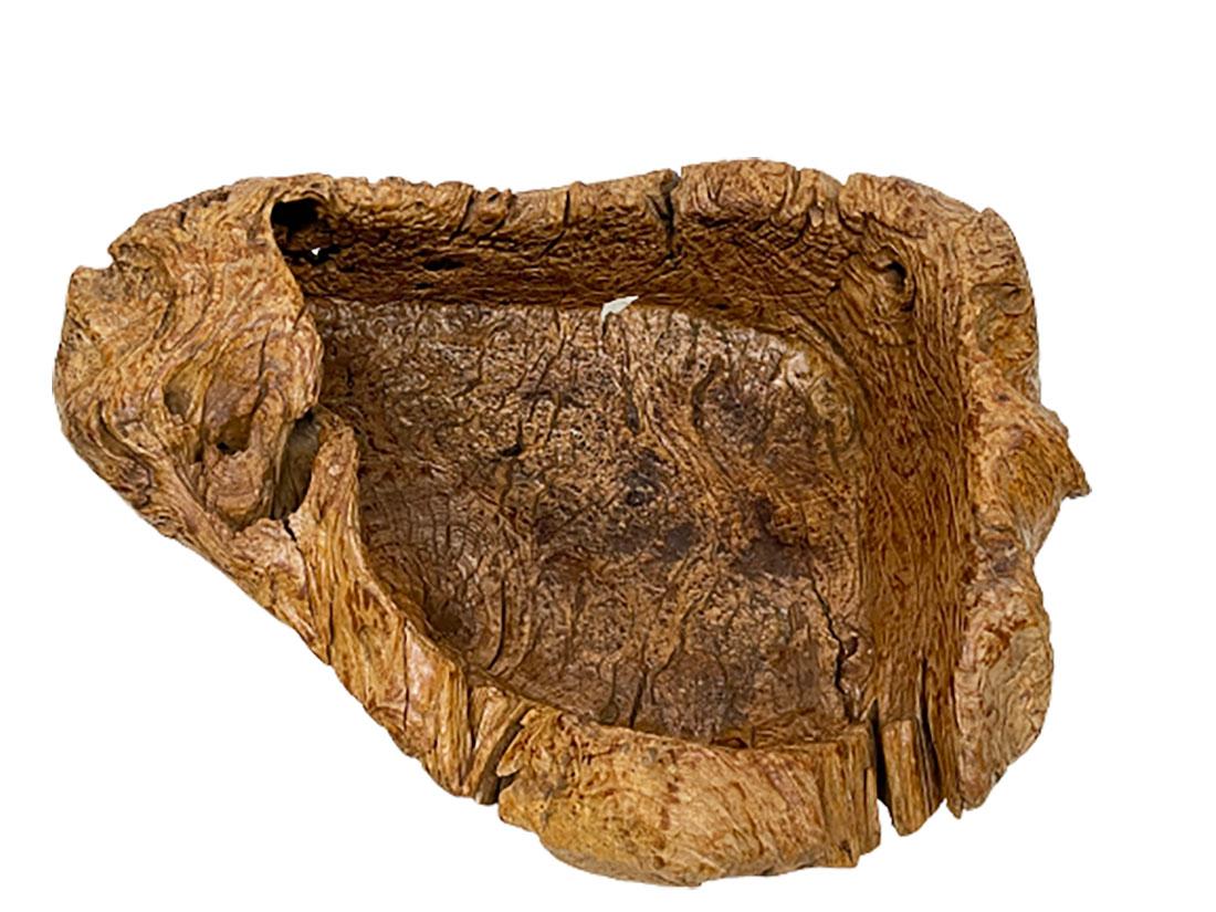 Gigantische, große, organisch geformte und handgeschnitzte Schale aus Wurzelholz. 

Diese Schale ist ein sehr großes, organisch geformtes, fast 25 Kilo schweres Schmuckstück. Dieses Objekt ist eine asiatische Antiquität und etwa 1890 alt. 
Die