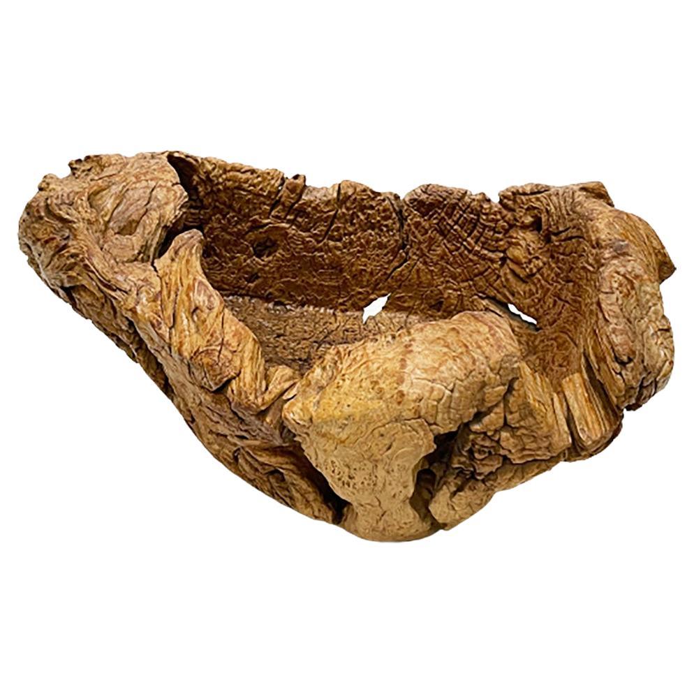 Gigantic Large Burl Wood Organically Shaped and Hand Carved Bowl For Sale