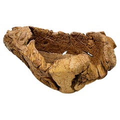 Gigantic Large Burl Wood Organically Shaped and Hand Carved Bowl