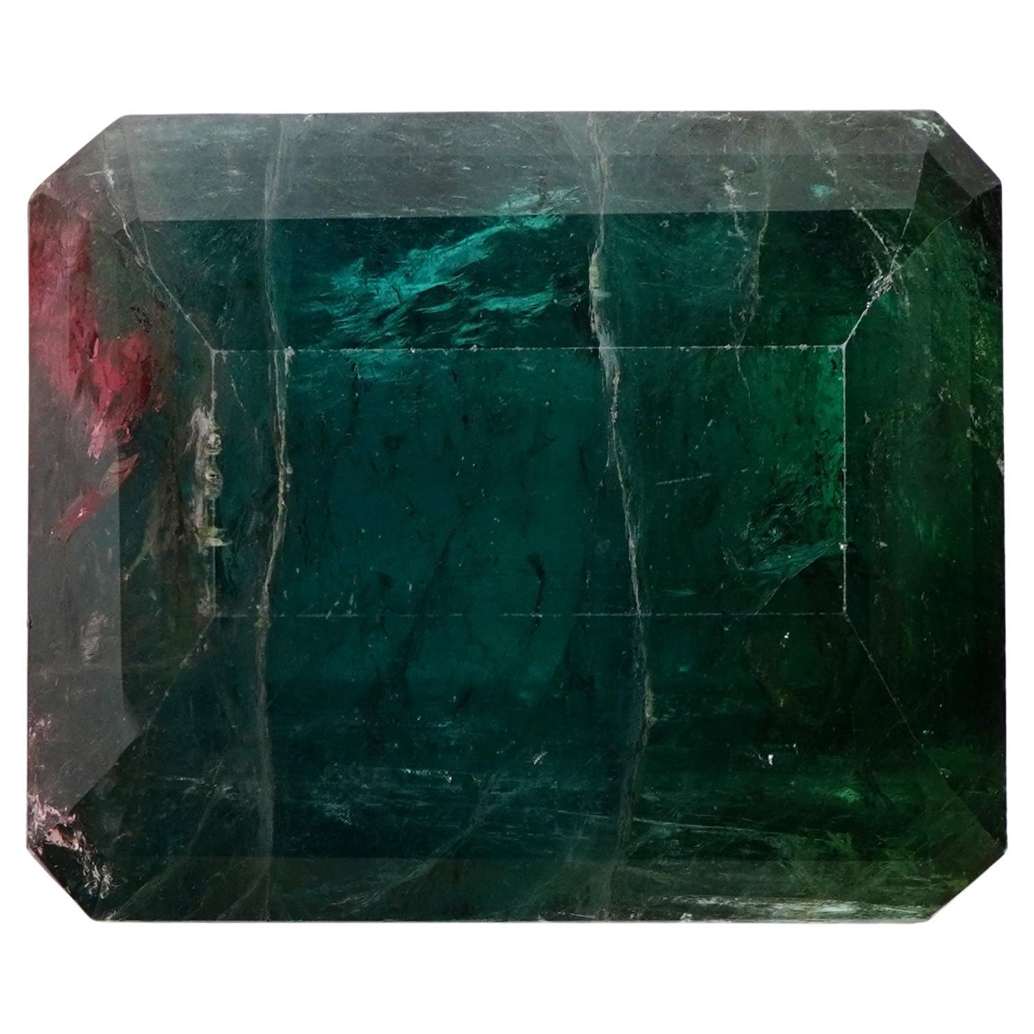 Entrez dans l'extraordinaire avec cette époustouflante tourmaline bicolore de 705 carats, affectueusement appelée la 