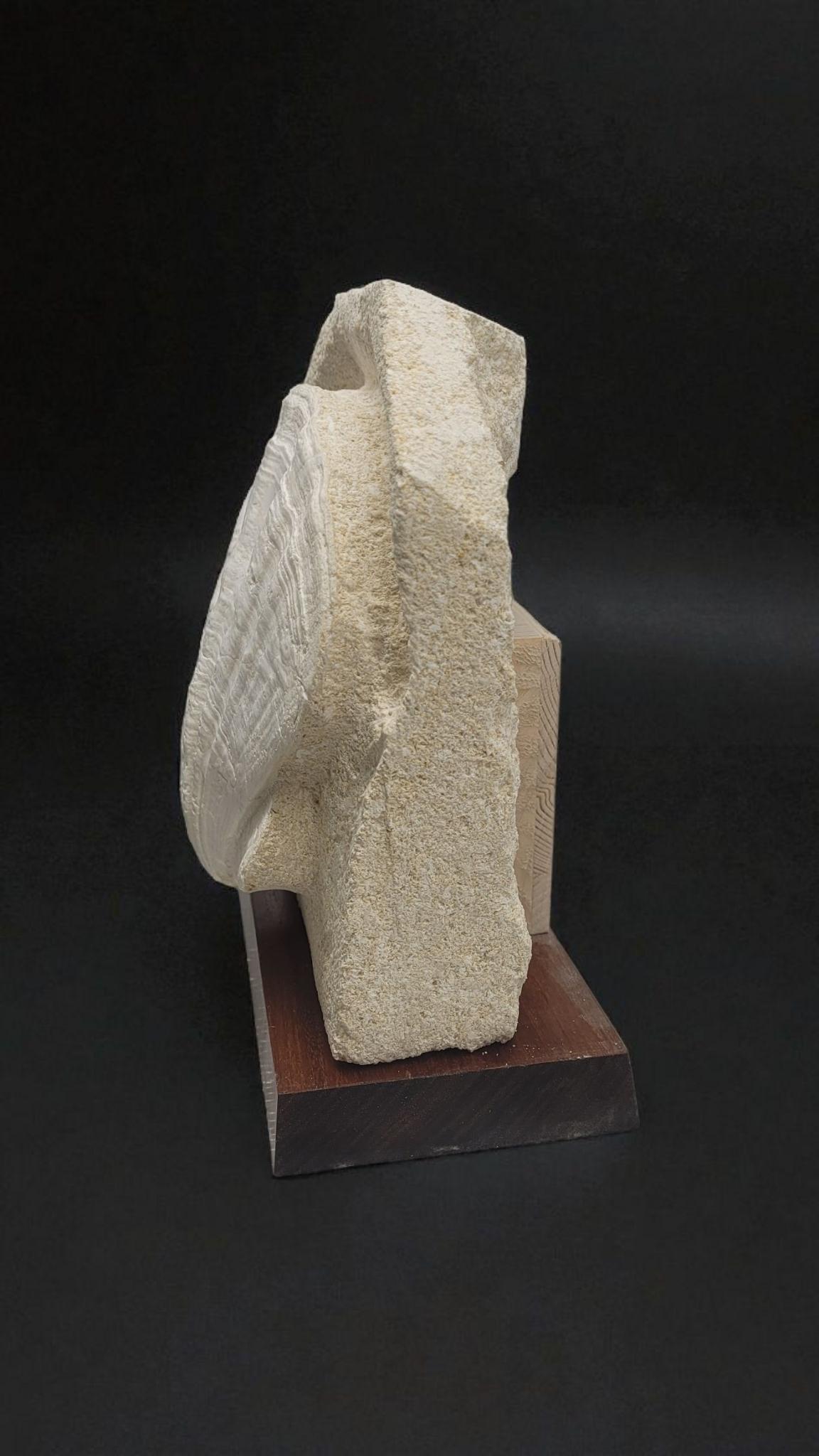 Sandstone Giganto Pecten Restitutensis, Natural Fossil shell scallop on matrix For Sale