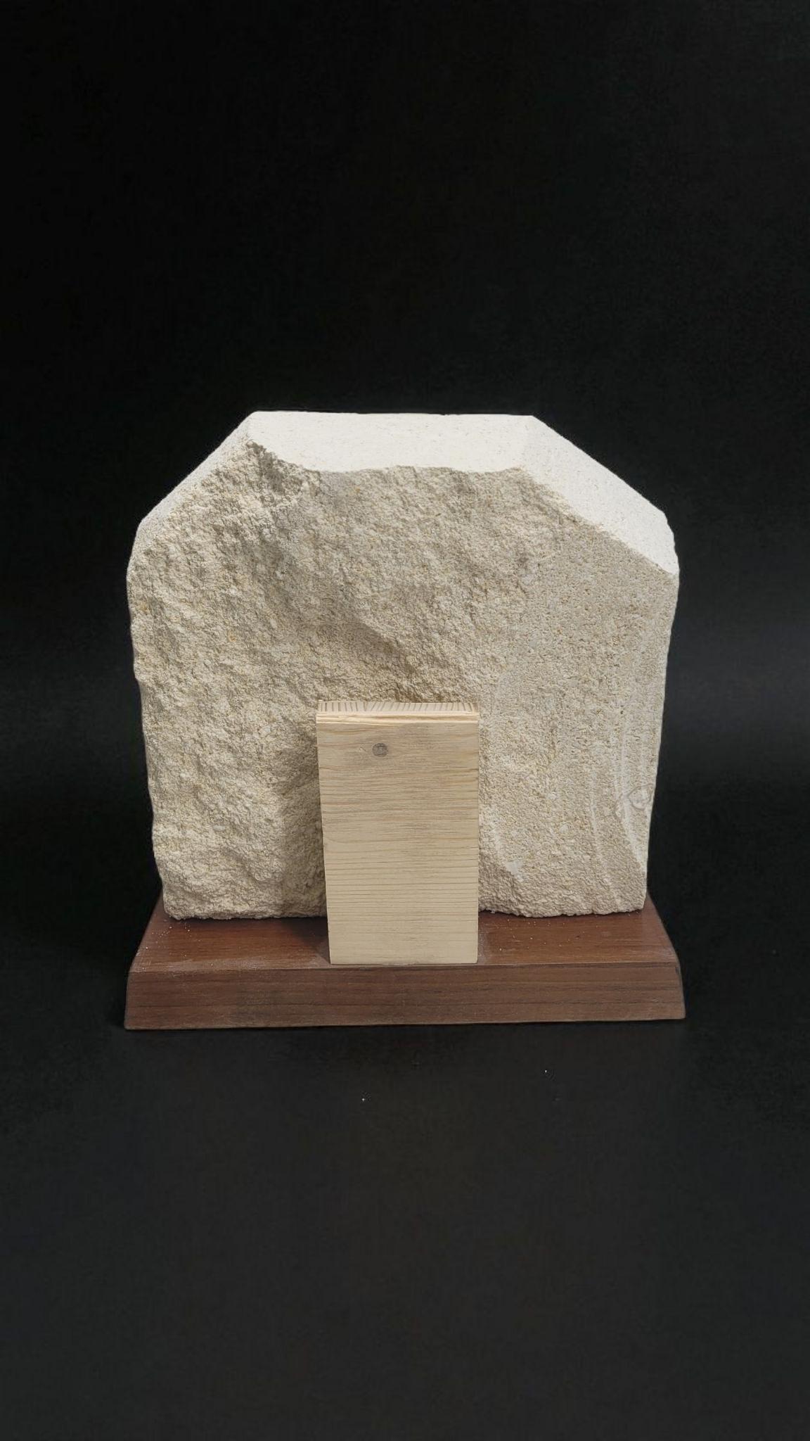 Giganto Pecten Restitutensis, Natural Fossil shell scallop on matrix For Sale 2