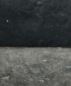 Nachthimmel/Seesterne