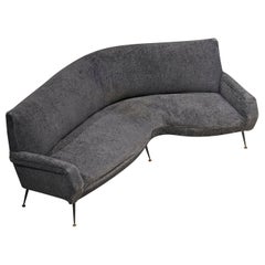Gigi Radice for Minotti Curved Sofa in Grey Upholstery
