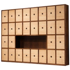 Gigi Radice for Studio Gino Colombo Unique Wall Unit in Walnut and Seagrass (Unité murale unique en noyer et gazon)