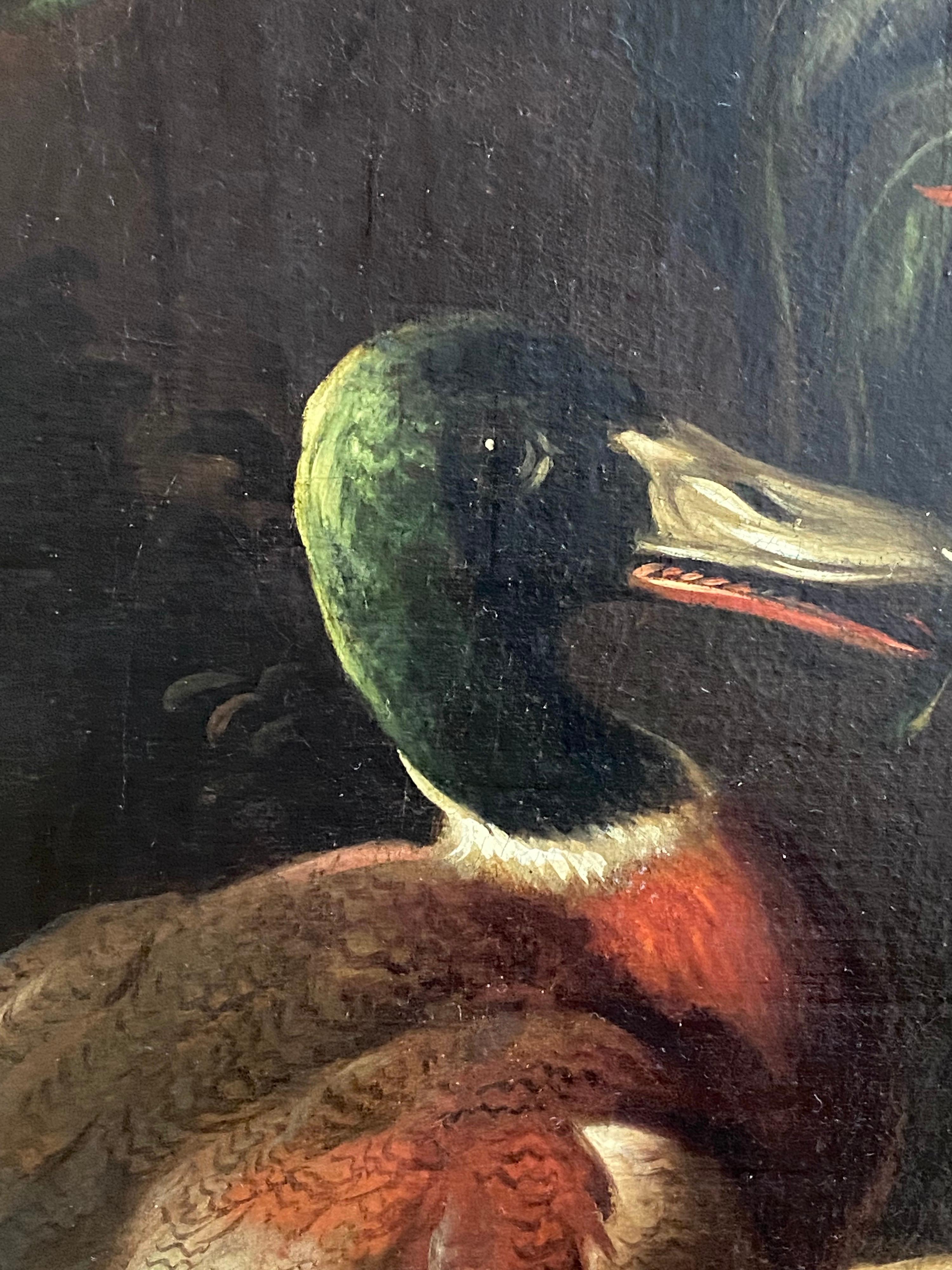 Dutch 17th century, cockerel, hen, mallard drake and duck with their ducklings - Brown Animal Painting by Gijsbert Gillisz. de Hondecoeter