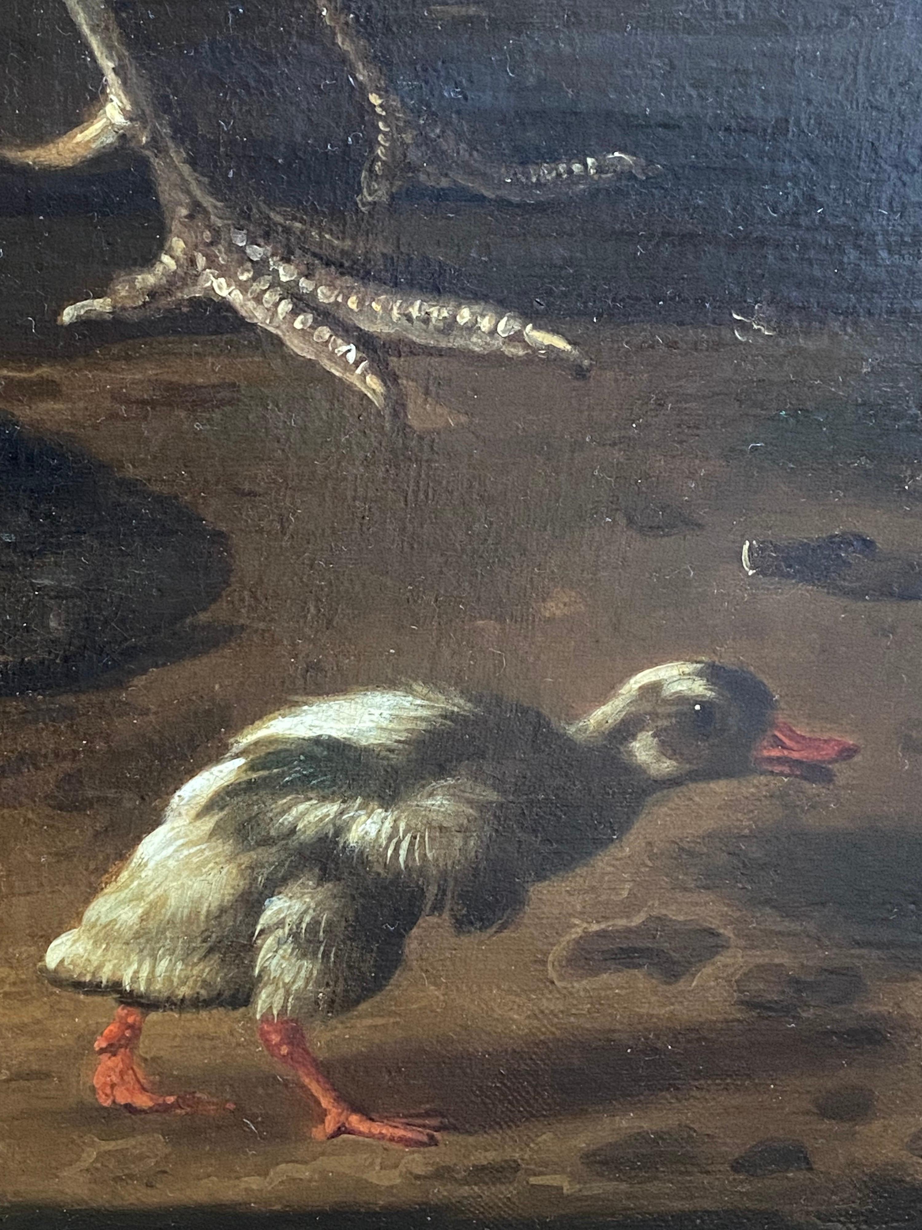  Dutch 17th century, cockerel, hen, mallard drake and duck with their ducklings  2