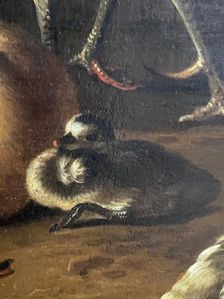  Dutch 17th century, cockerel, hen, mallard drake and duck with their ducklings  4