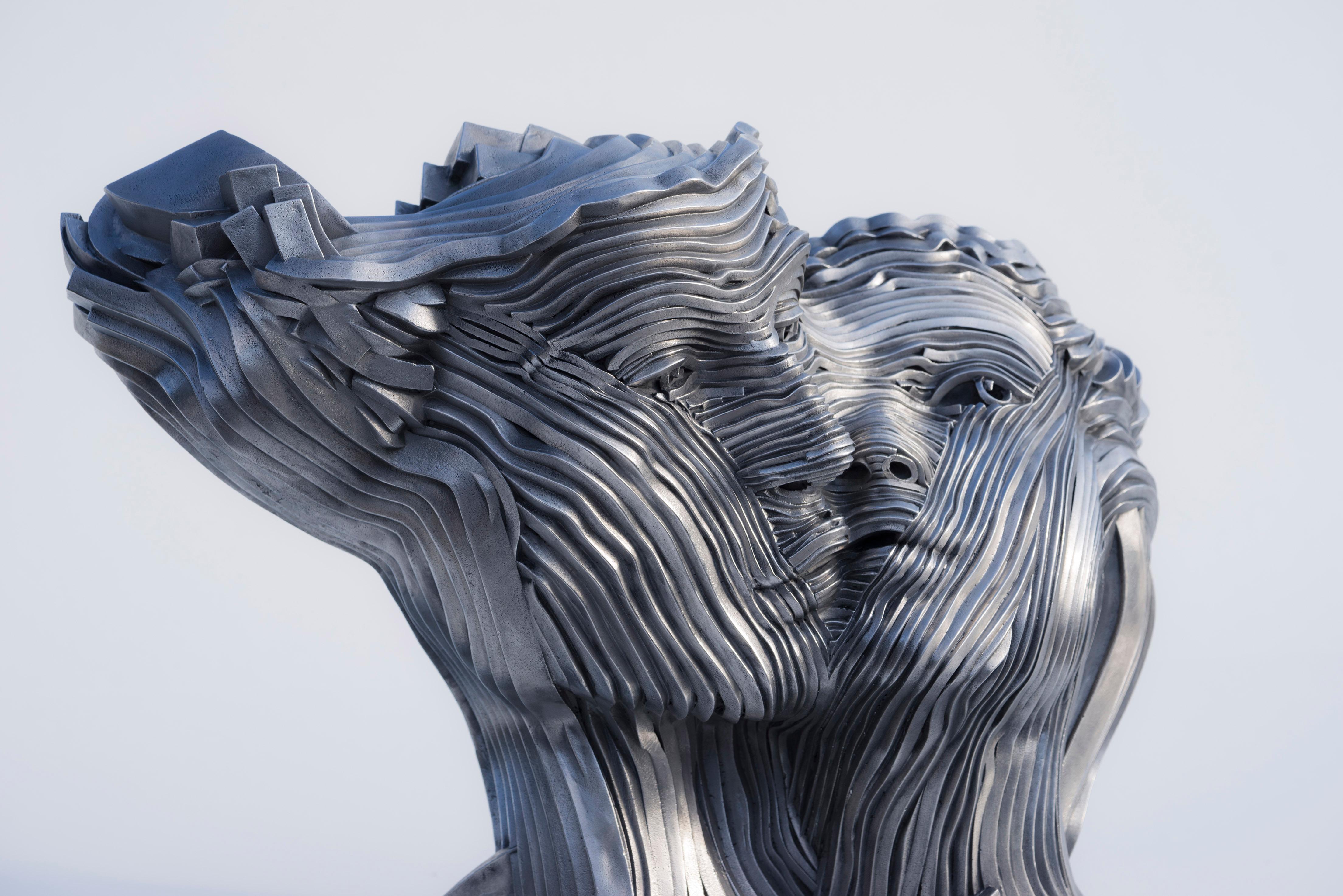 Flowing - 21e siècle, Contemporain, Sculpture figurative, Acier inoxydable en vente 2