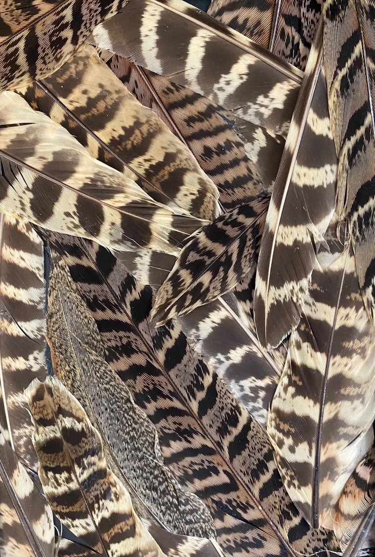 Gilbert Albert Collage plume For Sale at 1stDibs