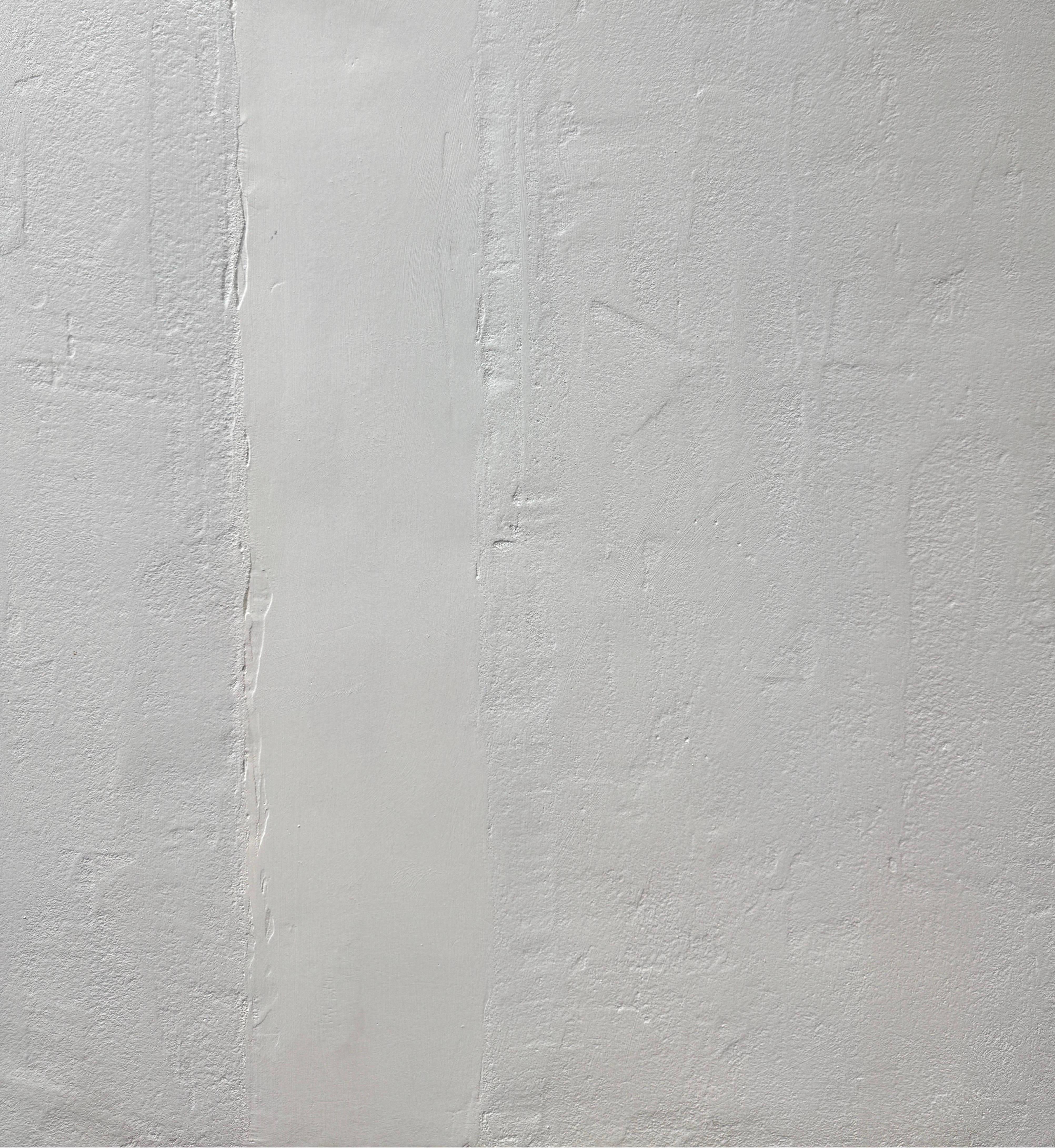 Collection plaster and cement n°9 by Gilbert Pauli - Mixed media 61x126 cm For Sale 3