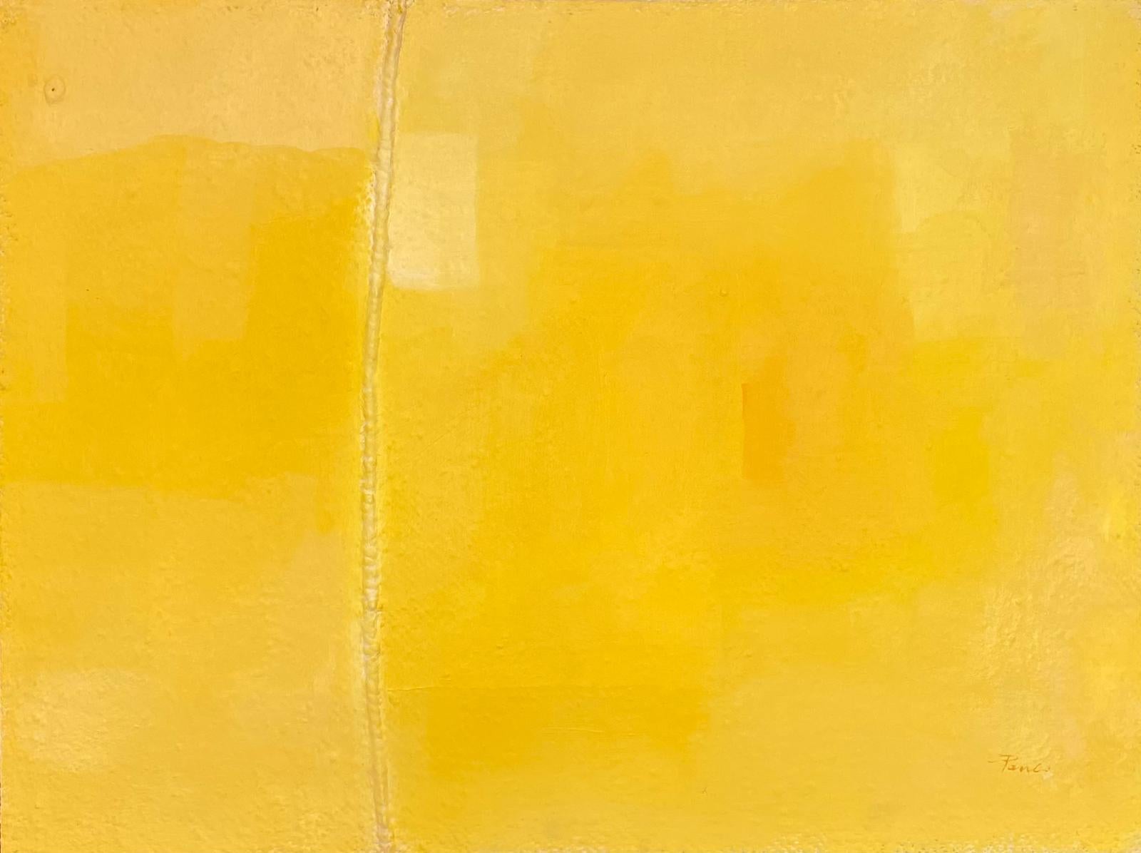 Abstract Painting di Gilbert Pauli - Bandiere della pace n°30