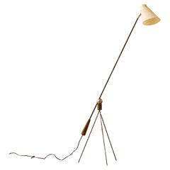 Fiberglass Lighting