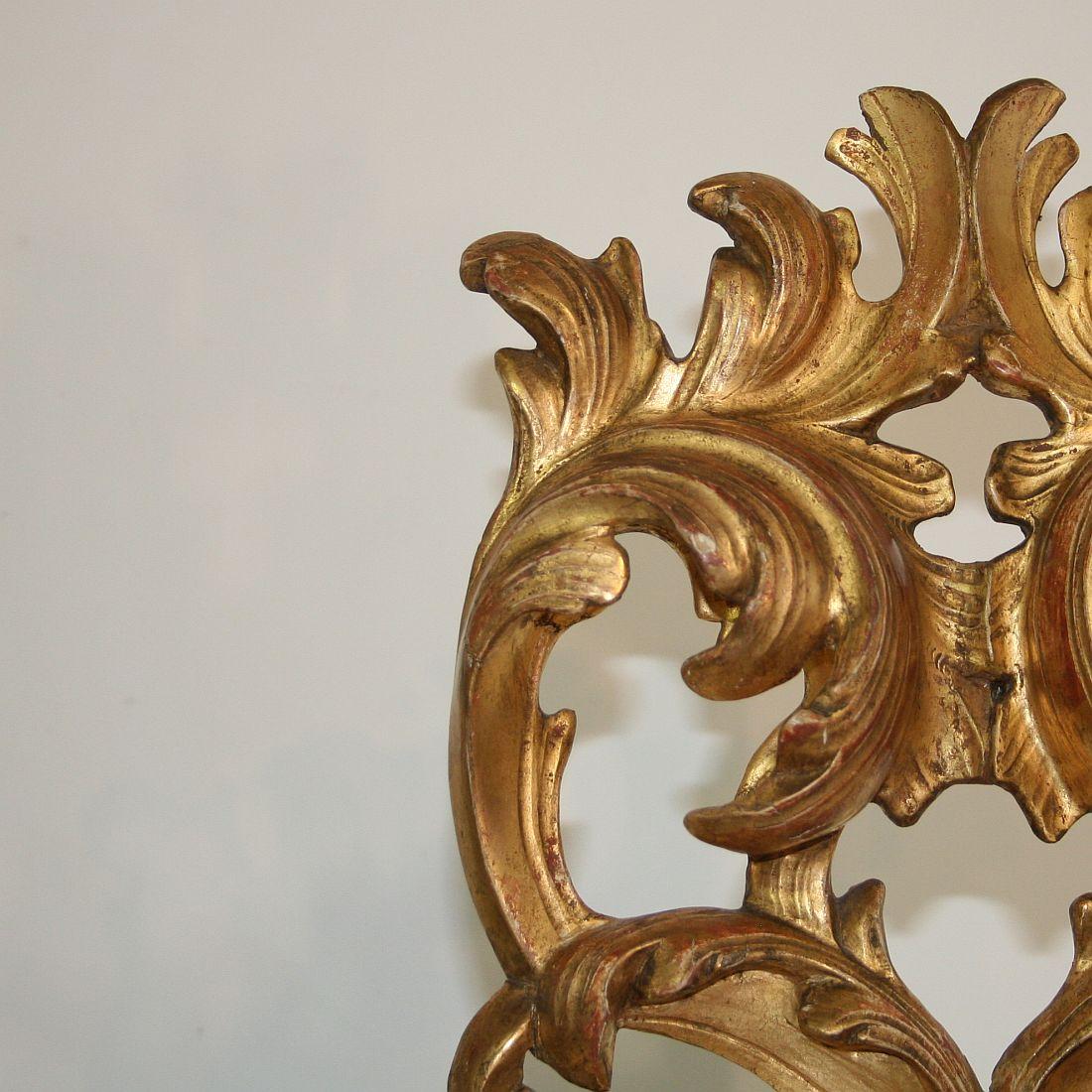 Gilded 18th Century Italian Baroque Carved Wooden Curl 5