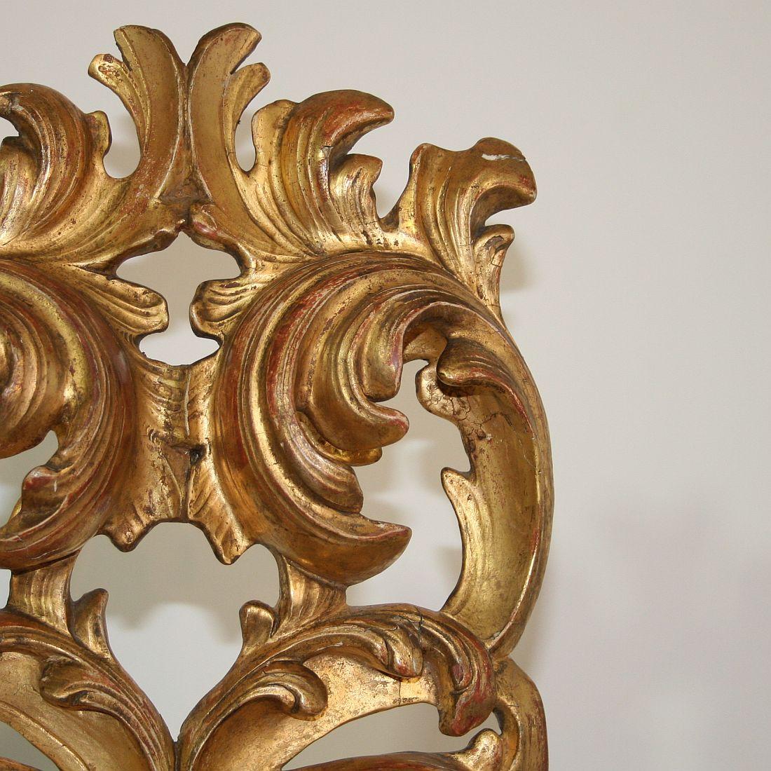 Gilded 18th Century Italian Baroque Carved Wooden Curl 6