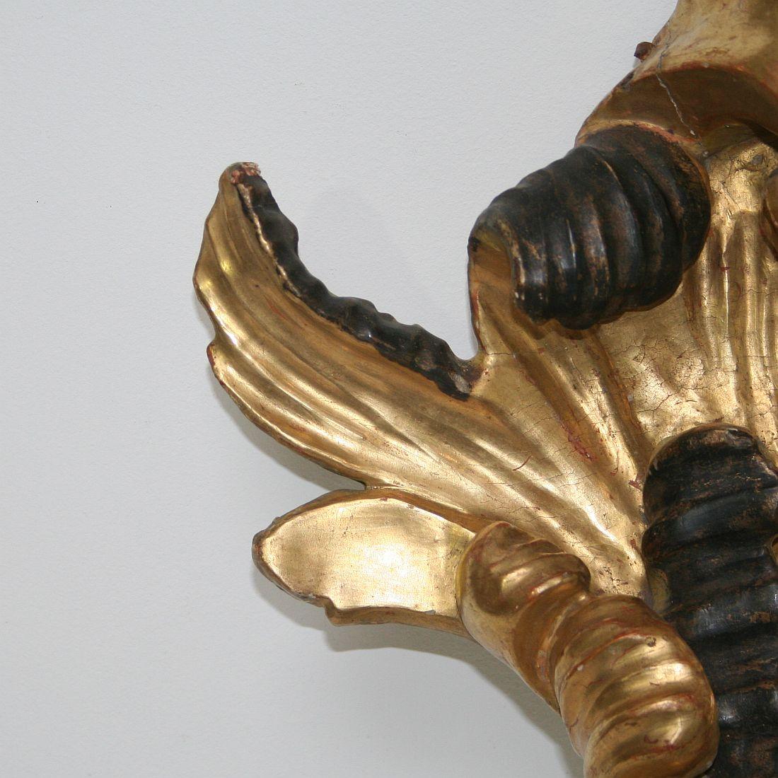 Gilded 18th Century Italian Baroque Carved Wooden Curl 7