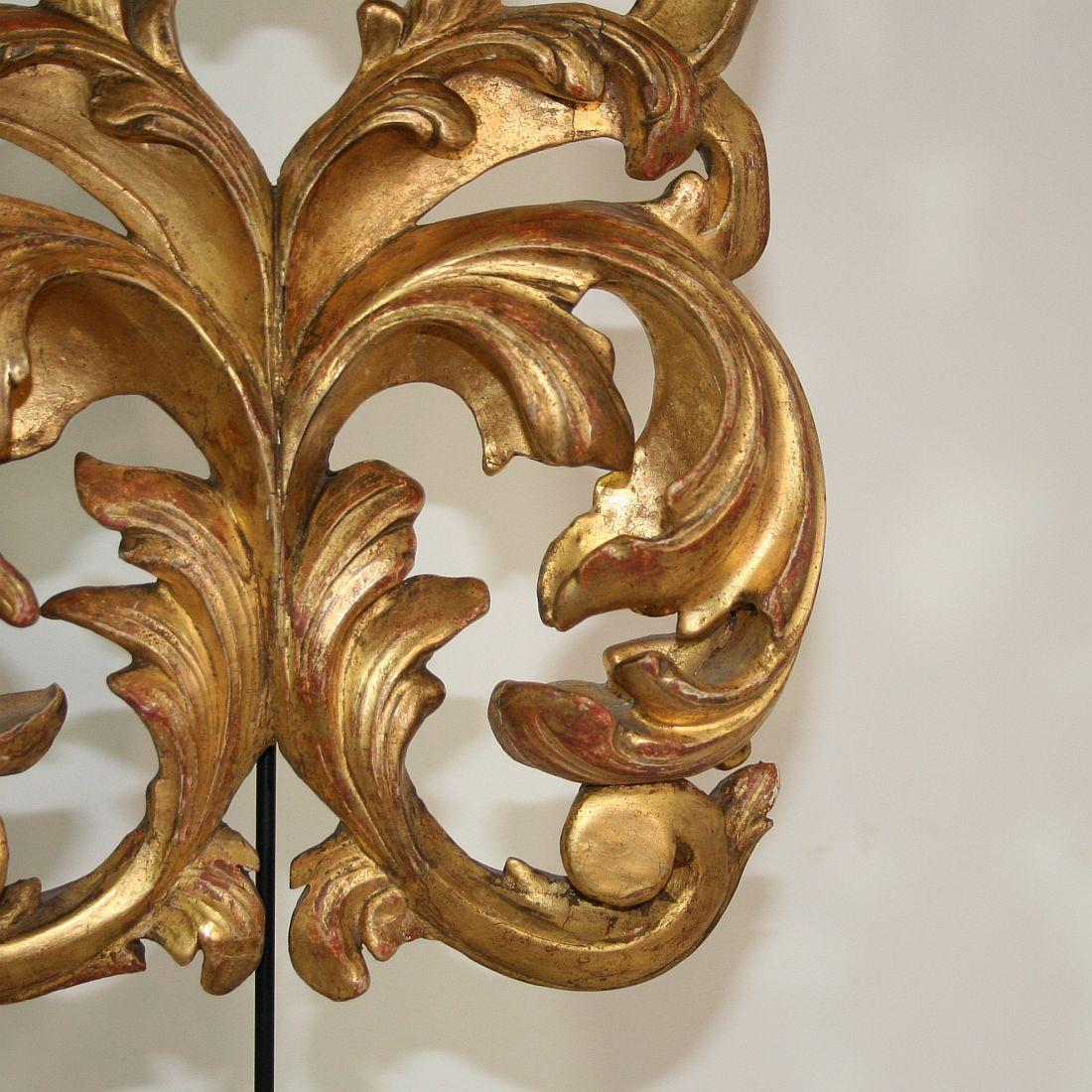 Gilded 18th Century Italian Baroque Carved Wooden Curl 8