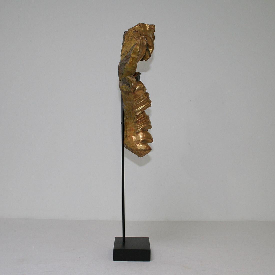 Gilded 18th Century Italian Baroque Carved Wooden Curl In Good Condition In Buisson, FR