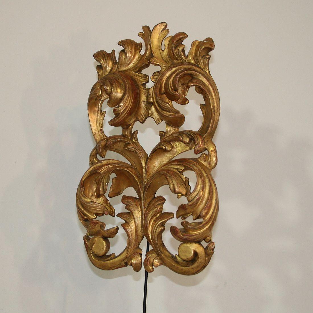 18th Century and Earlier Gilded 18th Century Italian Baroque Carved Wooden Curl