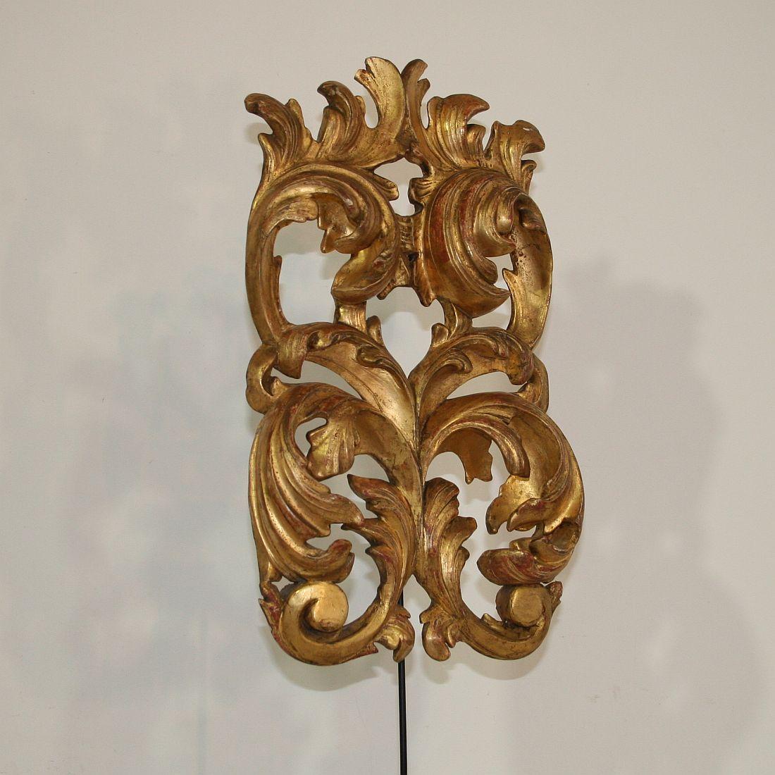 Gilded 18th Century Italian Baroque Carved Wooden Curl 1