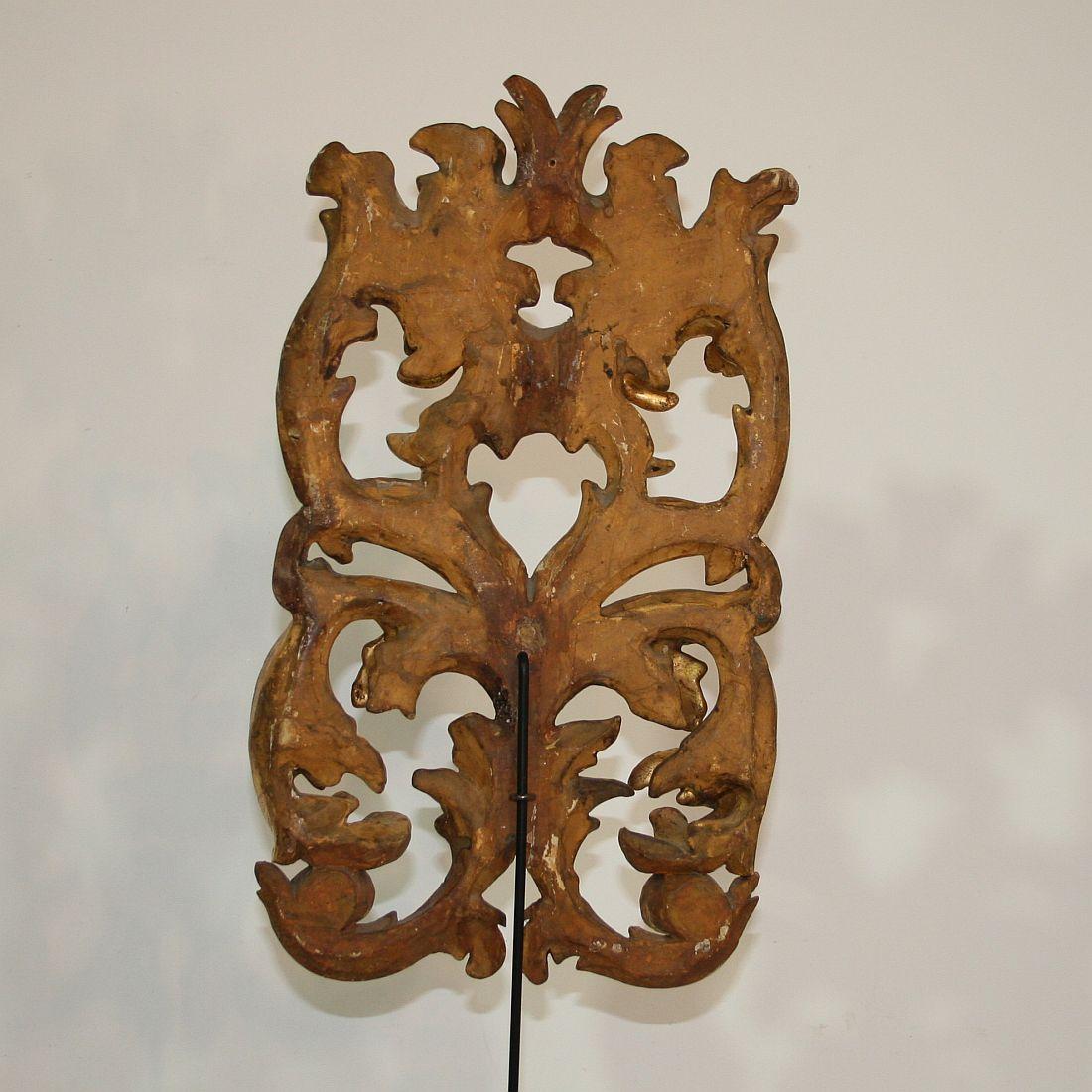 Gilded 18th Century Italian Baroque Carved Wooden Curl 3