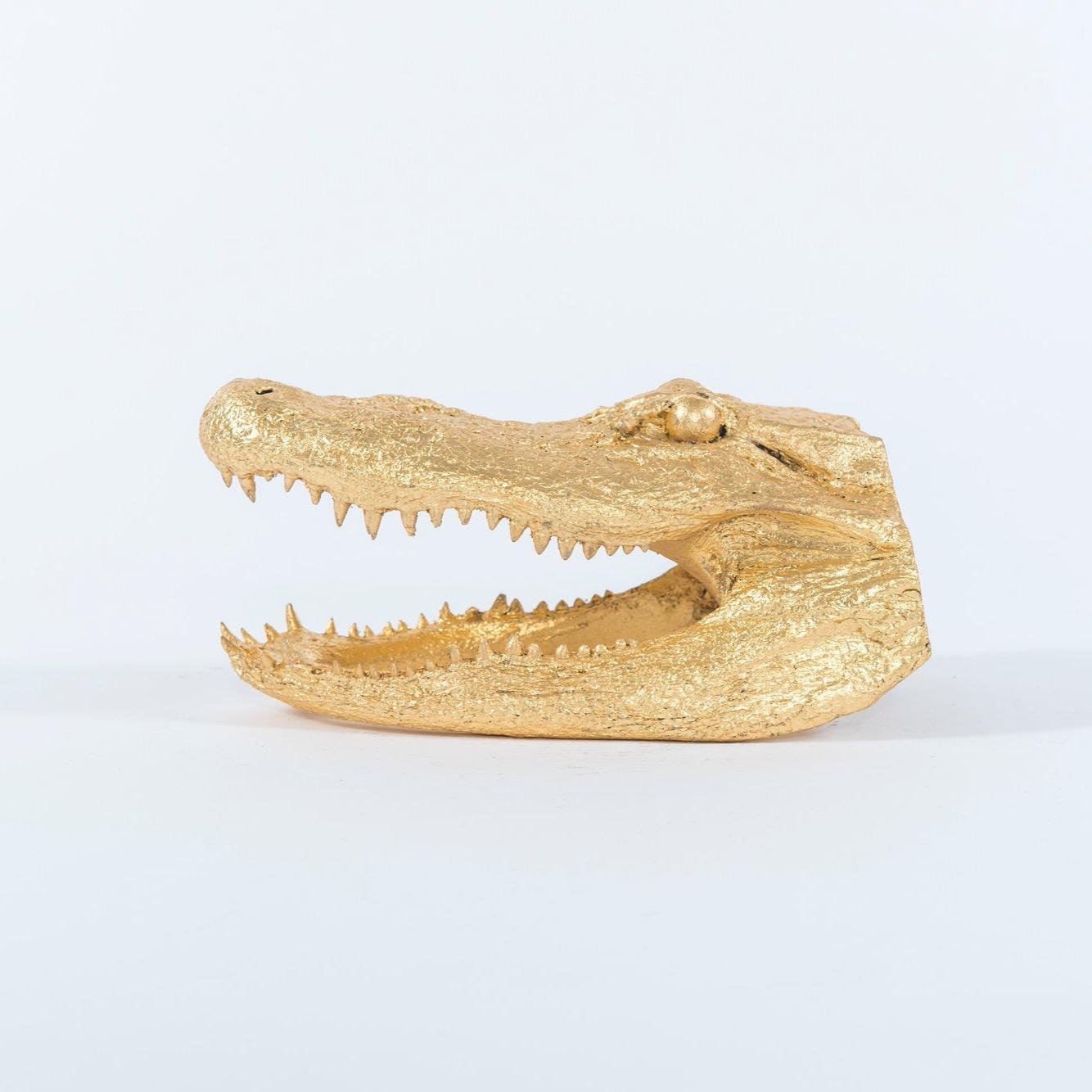Beautifully gilded alligator taxidermy head.

Visit our other 1STDIBS storefront Moxie Interiors to shop a vast array of exceptional home furnishings!