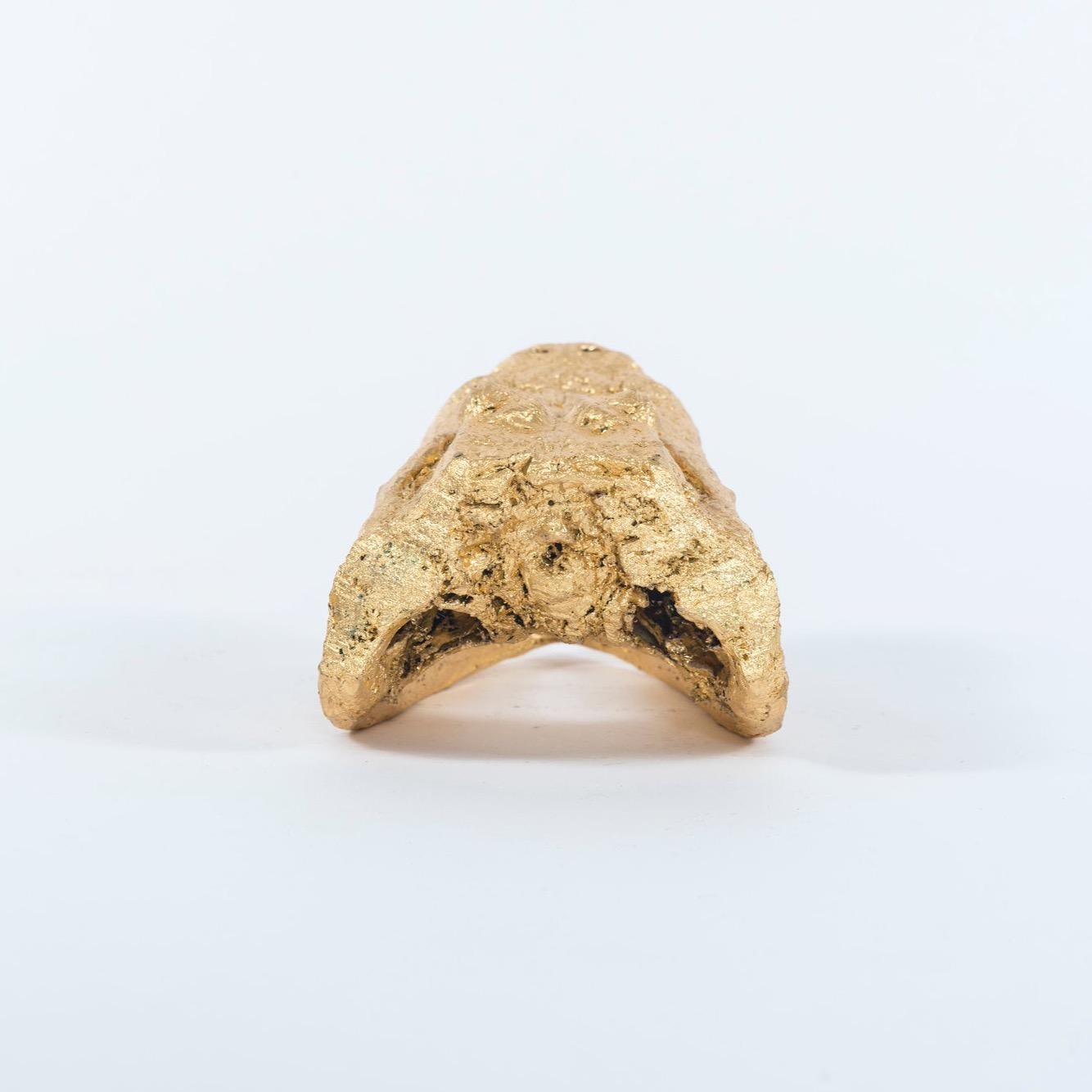 American Gilded Alligator Taxidermy Head For Sale