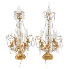 Gilded Bronze / Cut Glass Pair Girandole