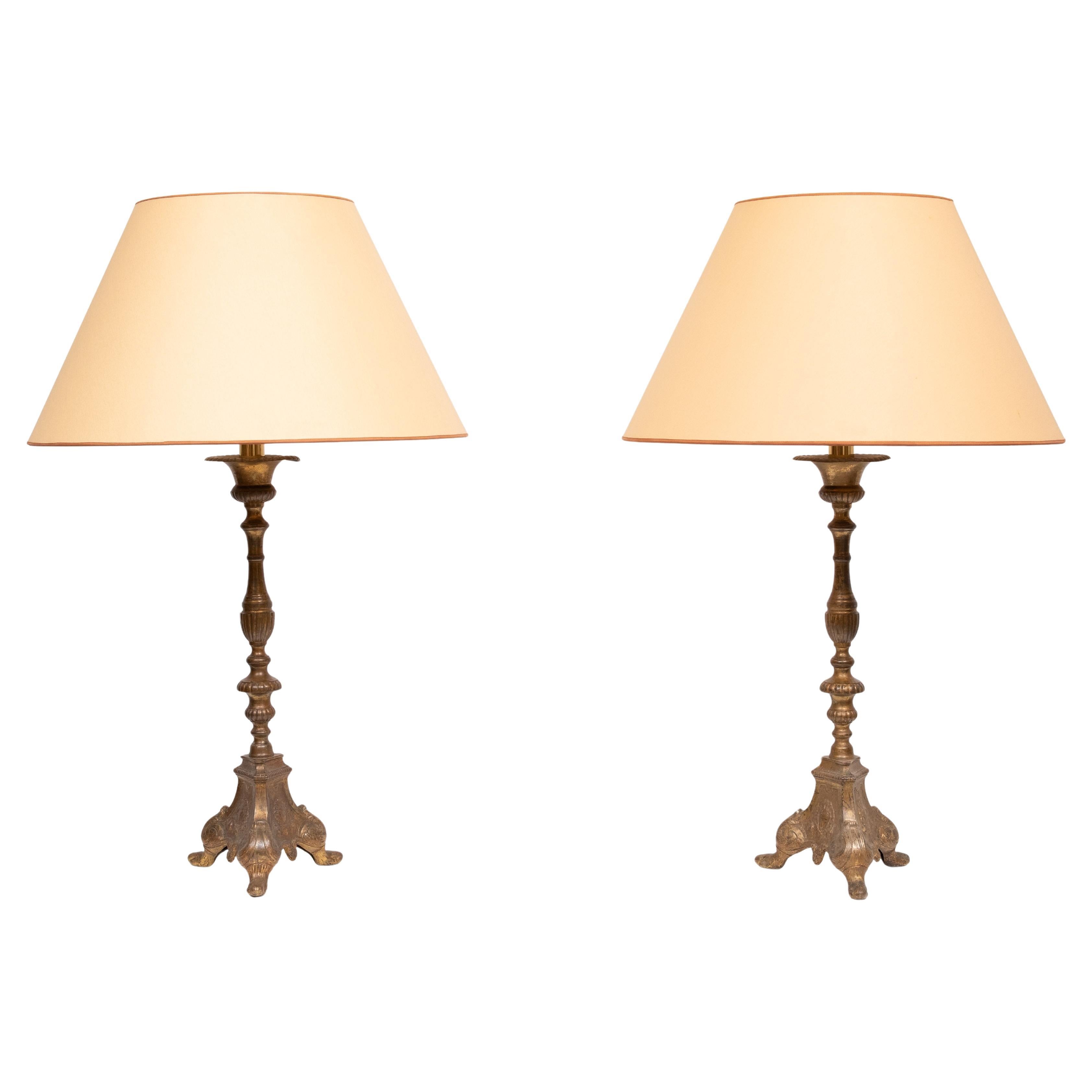 Gilded Bronze table lamps with shades France 1880s