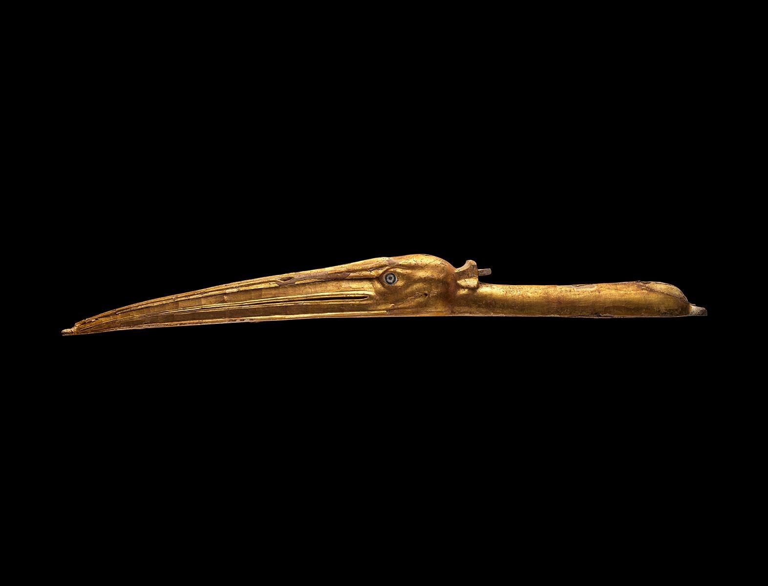 Una testa di ibis in legno dorato. La testa dell'uccello inizia con il collo lungo e sottile e si estende fino al grande becco appuntito, formando una silhouette quasi orizzontale. Le creste lungo il becco e gli occhi circolari sono profondamente