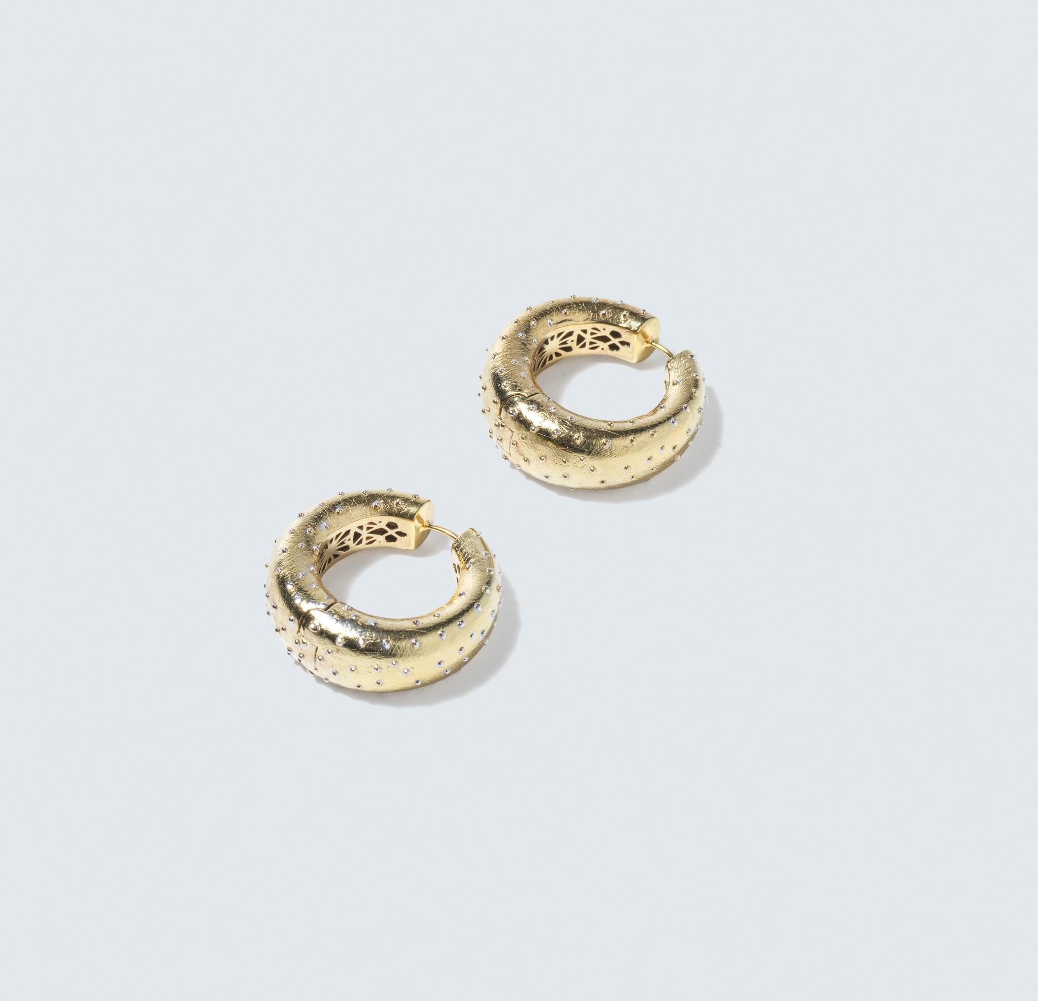 Ti presentiamo gli ipnotici orecchini a cerchio in argento dorato della collezione 