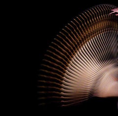 Bailarines Abstractos Blanco 3 - Edición Limitada, Impresión en pigmento de archivo