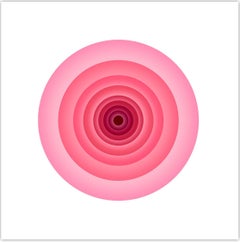 Rosa Tickled Pink by Giles Revell - Abstract Photography, Color, Flower