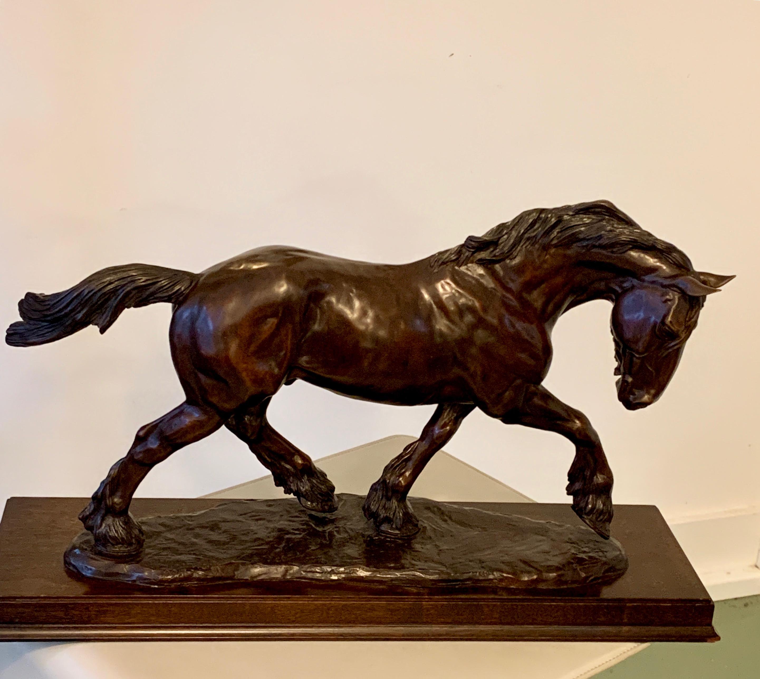 Bronze Shire horse sculpture by British born (1957) artist Gill Parker. Power, movement and elegance completely captured in this wonderful bronze.
Mounted on wooden base.
 